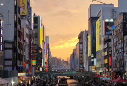 Japan Spring 2026 (6/27)